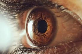 Have healthy eyes with adequate corneal thickness on evaluation